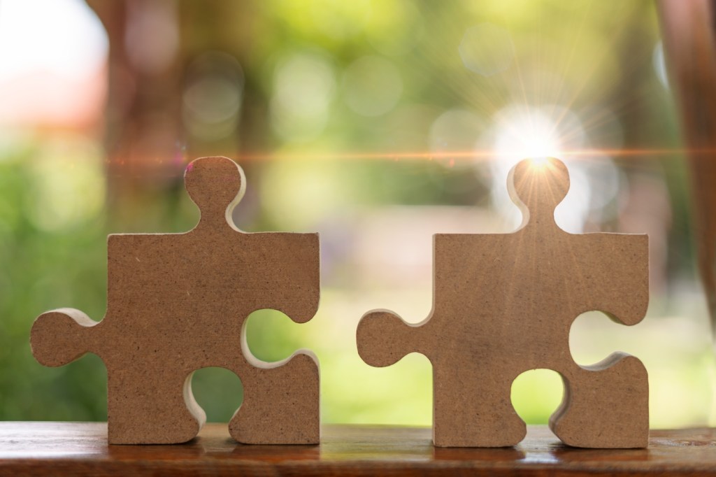 2 puzzle pieces on a green background