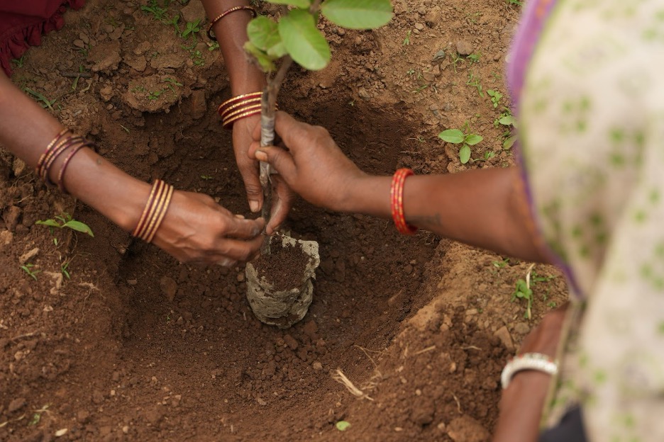 Indian women planting a tree.